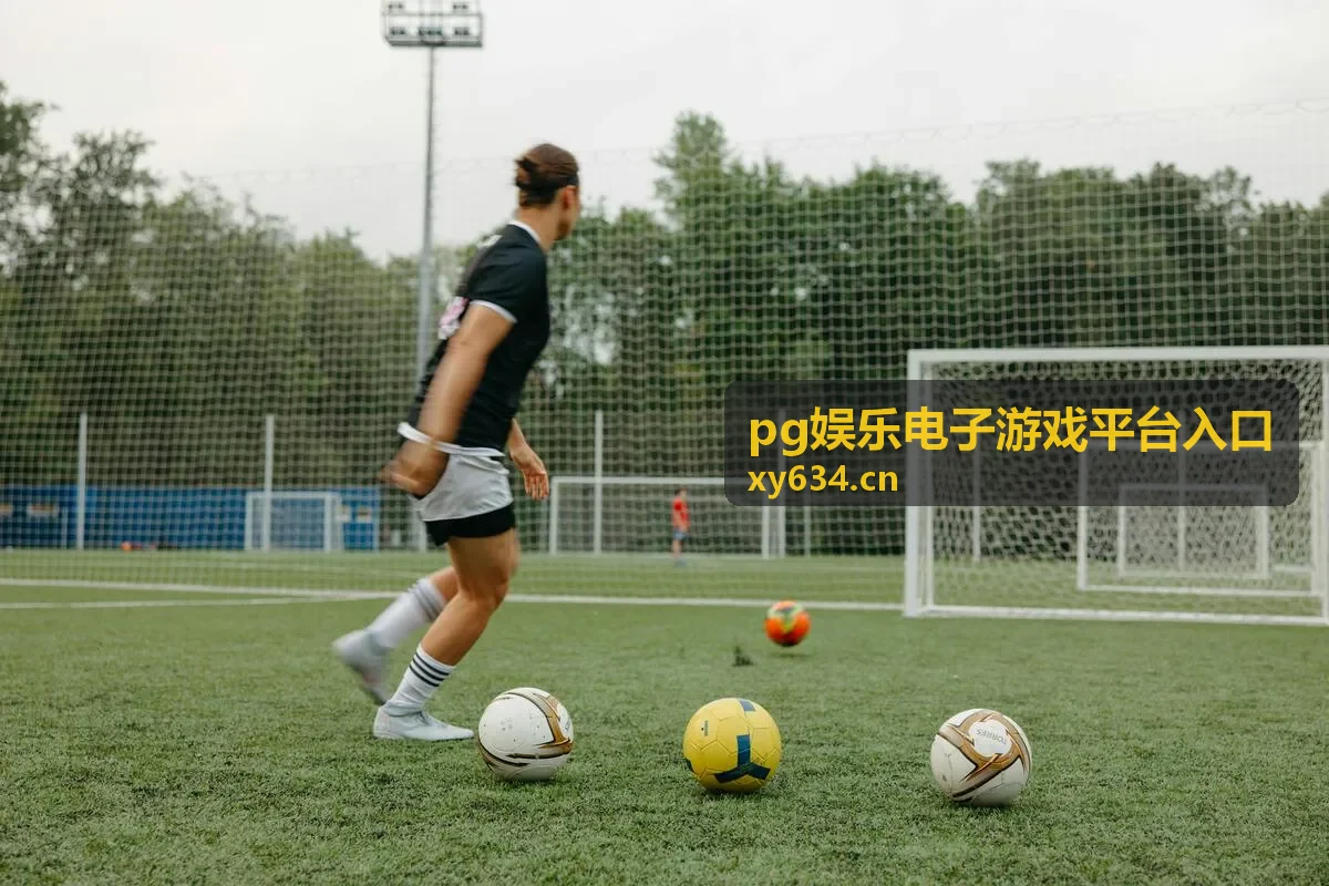 pg娱乐电子游戏平台入口入口通道指引插图